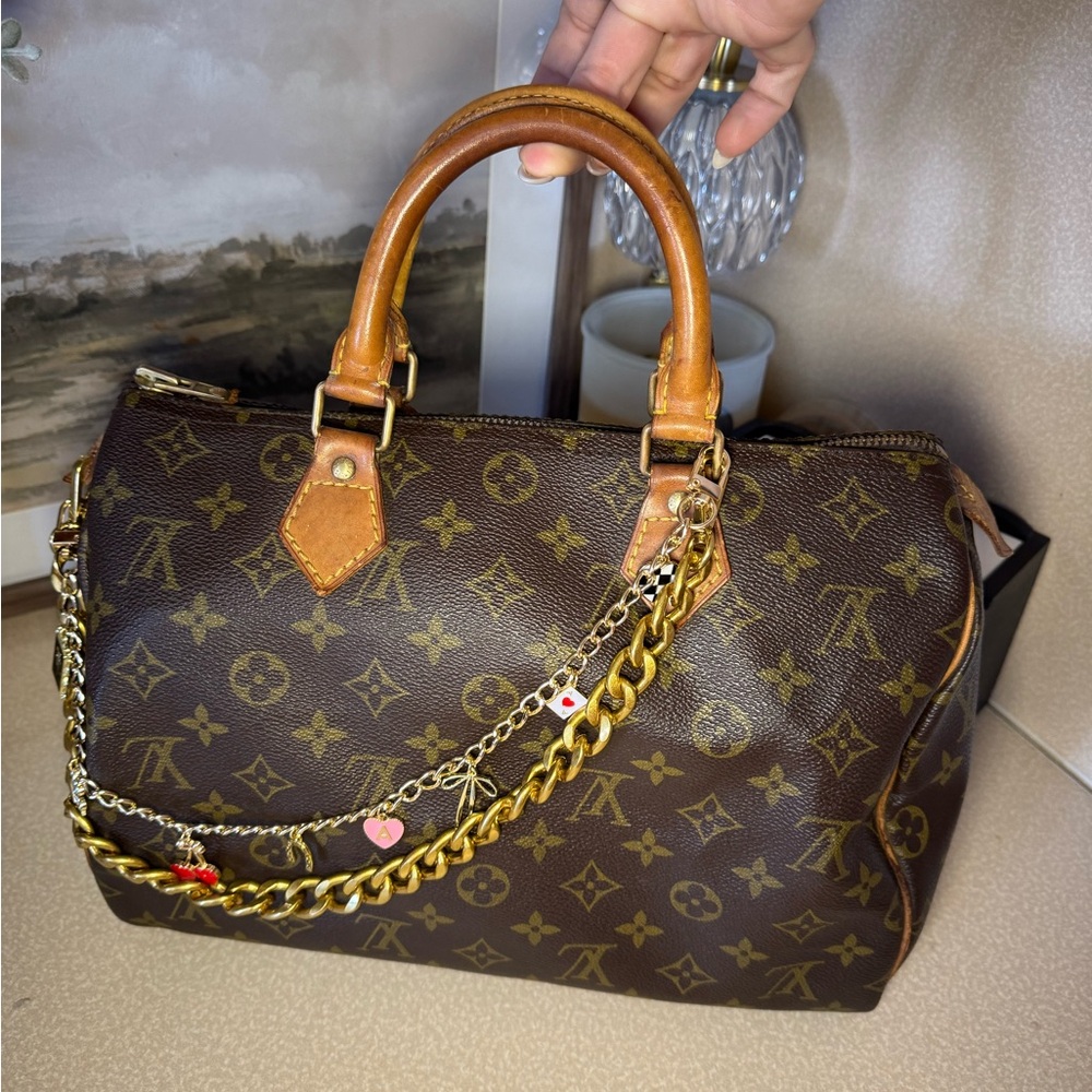 Louis Vuitton Brown Monogram Handbag SPEEDY 30